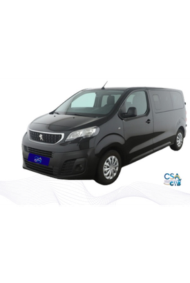 Mini Van Executiva
